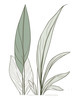Minimalist Line Art of a Snake Plant Leaf