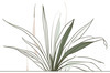 Minimalist Line Art of a Snake Plant Leaf