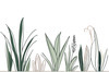 Minimalist Line Art of a Snake Plant Leaf