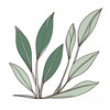 Minimalist Line Art of a Snake Plant Leaf