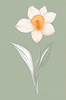 Fluid Line Art Suggesting Daffodil's Gentle Sway