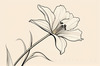 Fluid Line Art Suggesting Daffodil's Gentle Sway
