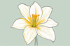 Fluid Line Art Suggesting Daffodil's Gentle Sway