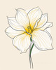 Fluid Line Art Suggesting Daffodil's Gentle Sway
