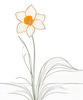 Fluid Line Art Suggesting Daffodil's Gentle Sway