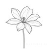 Fluid Line Art Suggesting Daffodil's Gentle Sway