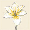 Fluid Line Art Suggesting Daffodil's Gentle Sway