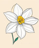 Fluid Line Art Suggesting Daffodil's Gentle Sway