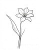 Fluid Line Art Suggesting Daffodil's Gentle Sway