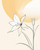 Fluid Line Art Suggesting Daffodil's Gentle Sway