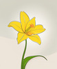 Fluid Line Art Suggesting Daffodil's Gentle Sway