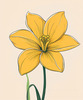 Fluid Line Art Suggesting Daffodil's Gentle Sway