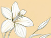 Fluid Line Art Suggesting Daffodil's Gentle Sway