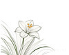 Fluid Line Art Suggesting Daffodil's Gentle Sway