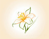 Fluid Line Art Suggesting Daffodil's Gentle Sway