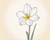 Fluid Line Art Suggesting Daffodil's Gentle Sway