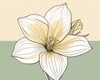Fluid Line Art Suggesting Daffodil's Gentle Sway