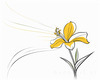 Fluid Line Art Suggesting Daffodil's Gentle Sway