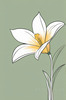 Fluid Line Art Suggesting Daffodil's Gentle Sway