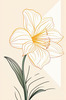 Fluid Line Art Suggesting Daffodil's Gentle Sway