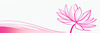 Minimalistic Line Art of Hanging Fuchsia Flower Drape