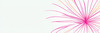 Minimalistic Line Art of Hanging Fuchsia Flower Drape