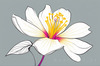 Minimalistic Line Art of Hanging Fuchsia Flower Drape