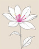 Minimalistic Line Art of Hanging Fuchsia Flower Drape