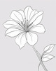 Minimalistic Line Art of Hanging Fuchsia Flower Drape
