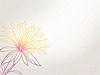 Minimalistic Line Art of Hanging Fuchsia Flower Drape