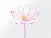 Minimalistic Line Art of Hanging Fuchsia Flower Drape