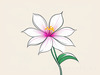 Minimalistic Line Art of Hanging Fuchsia Flower Drape