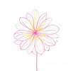 Minimalistic Line Art of Hanging Fuchsia Flower Drape