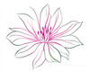 Minimalistic Line Art of Hanging Fuchsia Flower Drape