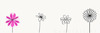 Minimalistic Line Art of Hanging Fuchsia Flower Drape
