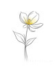 Minimalistic Line Art of Hanging Fuchsia Flower Drape