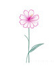 Minimalistic Line Art of Hanging Fuchsia Flower Drape