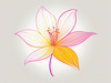 Minimalistic Line Art of Hanging Fuchsia Flower Drape
