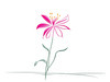 Minimalistic Line Art of Hanging Fuchsia Flower Drape