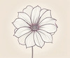 Minimalistic Line Art of Hanging Fuchsia Flower Drape