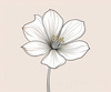 Minimalistic Line Art of Hanging Fuchsia Flower Drape