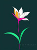 Minimalistic Line Art of Hanging Fuchsia Flower Drape