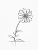 Minimalistic Line Art of Hanging Fuchsia Flower Drape