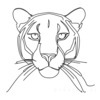 Minimalist Line Art Tracing Mountain Lion's Back