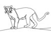Minimalist Line Art Tracing Mountain Lion's Back