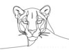 Minimalist Line Art Tracing Mountain Lion's Back