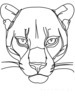 Minimalist Line Art Tracing Mountain Lion's Back