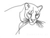 Minimalist Line Art Tracing Mountain Lion's Back
