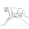 Minimalist Line Art Tracing Mountain Lion's Back