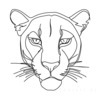 Minimalist Line Art Tracing Mountain Lion's Back